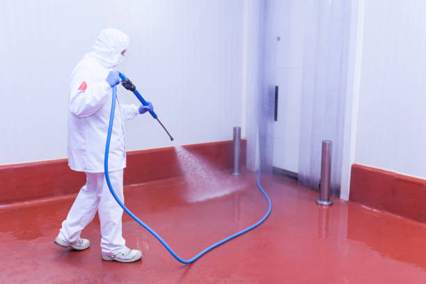 Trusted Garden City, GA Pressure Washing Services Experts